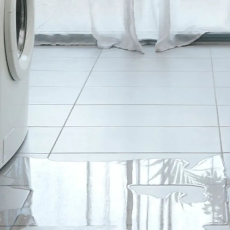 Appliance Leak Cleanup in Lomira, WI