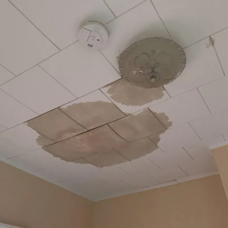 Ceiling Water Damage Repair in Lomira, WI