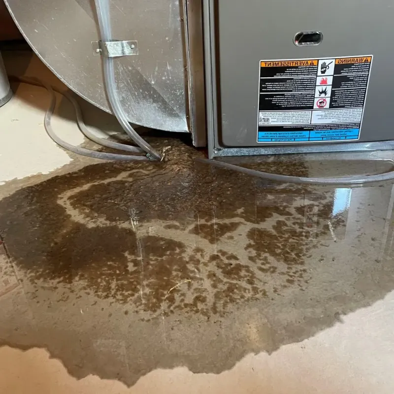 Pipe Burst and Leak Restoration in Lomira, WI