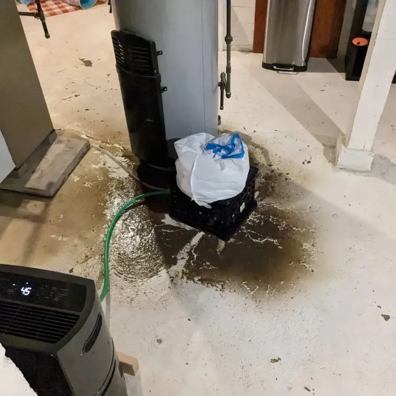 Sewage Backup Cleanup Service in Lomira, WI